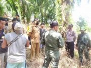 Polisi Mukomuko Cegah Konflik Manusia dan Harimau
