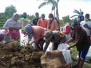 Warga Ringinkidul Gubug Kerja Bakti Tutup Tanggul Antisipasi Longsor Bantaran Sungai Tuntang
