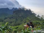 Kulon Progo Ingin Pulihkan Kualitas Pariwisata