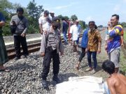 Tersambar Kereta Api, Korban Tewas Terseret 50 Meter