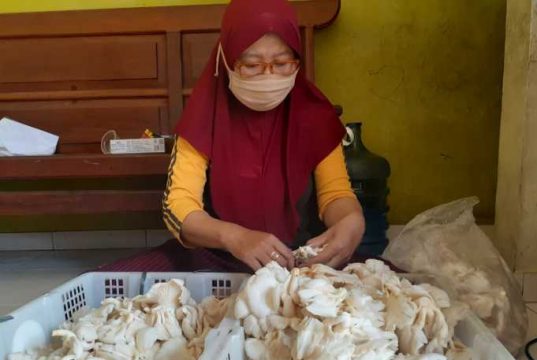 Partini Bangkit Melalui Jamur Crispy di Tengah Pandemi