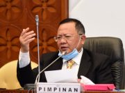 Legislator Pertanyakan Kasus Dua Ekor Harimau Sinka Zoo ke Menteri Siti