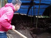 Ditemukan Situs Permukiman Kuna di Sisi Tenggara Candi Pawon