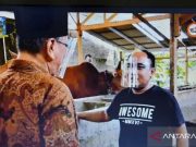 Aziz Gagap Ternak Sapi Potong di Tengah Kota, Ini Rahasianya