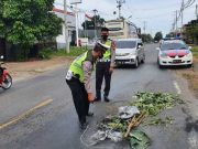 Jalan Berlubang di Jepara, Perbaikan Masih Menunggu Cuaca