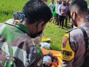 Pesepeda Onthel Ditemukan Tewas di Tepi Sawah