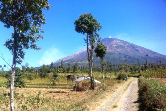 Temanggung Programkan ‘Sabuk Gunung’ Hutan Desa