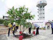Prinsip Industri Hijau, Semen Gresik Tanam Pohon di Sekitar Pabrik
