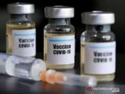Anggota DPR Optimistis Target Vaksinasi Covid-19 Terpenuhi
