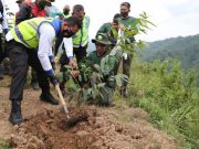 Bukit Sipako Karanggayam Disiapkan sebagai Wisata Agro