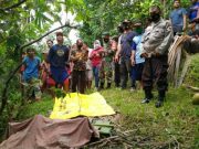 Terpeleset Senggol Kabel Listrik, Penebang Sengon di Karangbolong Meninggal