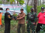 Menangkal Kera Liar, Ini yang Dilakukan Para Relawan di Hutan Lawu Selatan