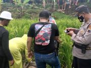 Innalillahi, Kakek Siman Ditemukan Tewas di Sawah Selogiri Wonogiri