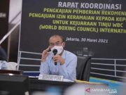 Kemenpora Belum Bisa Beri Rekomendasi Kejuaraan Tinju WBC di Indonesia