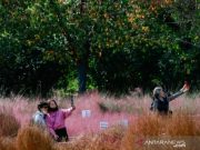 Pemda Korsel Tepis Protes, Wajibkan Tes Covid-19 untuk Pekerja Asing