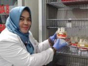 Gawat..! Stok Darah PMI Kudus Menipis