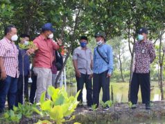 Brebes Siap Bangun Pusat Unggulan Mangrove