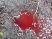 Air Berwarna Merah Darah Gegerkan Warga
