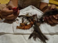 Ini Penjelasan Yayasan Menara Soal Temuan Jenglot di Kudus