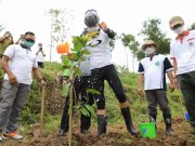 Ganjar Tanam 1.000 Pohon di Desa Salam, Bakal Destinasi Wisata Alami Masa Depan