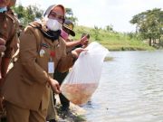 Wakil Bupati Blora Tebar 10.000 Benih Ikan di Embung Keruk Randublatung