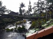 Angin Kencang di Kabupaten Magelang Tumbangkan Pohon dan 46 Rumah Rusak
