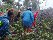 Angin Kencang Terjadi di Beberapa Lokasi, Puluhan Rumah Alami Kerusakan