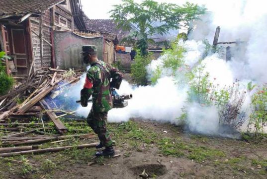 Cegah Chikungunya Babinsa Progowati Koramil Mungkid Membantu Mengasapi Desa Progowati