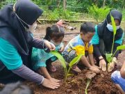 Ajarkan Siswa TK Bercocok Tanam, Kiat Tumbuhkan Cinta Lingkungan