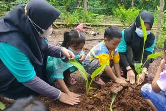 Ajarkan Siswa TK Bercocok Tanam, Kiat Tumbuhkan Cinta Lingkungan