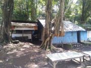 Berenang di Pemandian Senjoyo, Jangan Lupa Menikmati Bakwan Jembak