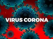 Belajar dari Virus Corona
