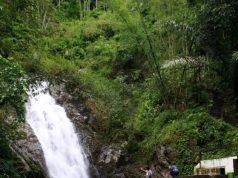 Curug Siklothok di Pegunungan Menoreh, Membasuh Wajah dengan Airnya Dipercaya Bikin Awet Muda