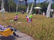 Objek Wisata Svarga Bumi, Surganya Penggemar Foto Selfi