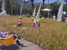 Objek Wisata Svarga Bumi, Surganya Penggemar Foto Selfi