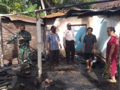 Bakar Sampah, Dapur dan Kandang Ayam di Prembun Ludes Terbakar
