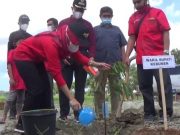 Wakil Bupati dan Komunitas Innova Kebumen Tanam 1.000 Pohon