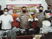 Penjual Obat Mercon Ditangkap, Ngaku Banyak Pesanan