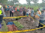 Diduga Tersetrum Aliran Listrik, Seorang Pria Tewas di Areal Persawahan