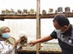 Humas Polres Blora Mengunjungi Pengusaha Sari Buah Mengkudu, Dukung Pemulihan Ekonomi Masa Pandemi
