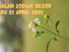 Ramalan Zodiak Besok Rabu 21 April 2021, Sagitarius Mencoba yang Terbaik, Pisces Mulai dari Awal