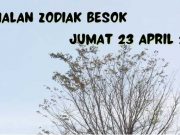 Ramalan Zodiak Besok, Jumat 23 April 2021, Taurus Saatnya Move On, Leo Penyesalan yang Sia-sia