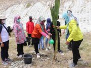 Tempat Wisata Embung Kedungsambi Klopoduwur Dihijaukan dengan Tanaman Kelapa
