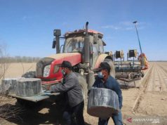 Petani Kapas Xinjiang Minim Gunakan Tenaga Manusia