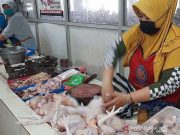 Harga Daging Ayam Ras di Purwokerto Turun Meski Masih Tinggi