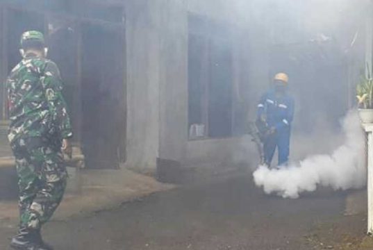 Cegah Demam Berdarah, Babinsa Bersama Dinas Kesehatan Lakukan Fogging