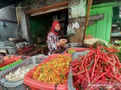 Jelang Ramadhan, Harga Cabai di Pasar Tradisional Solo Turun