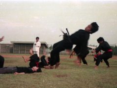 Tenaga Dalam Disayembarakan?