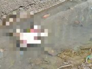 Mayat Bayi di Saluran Irigasi Lajer, Dikira Boneka Hanyut