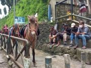 Objek Wisata Ditutup, Pelaku Usaha Mengaku Rugi